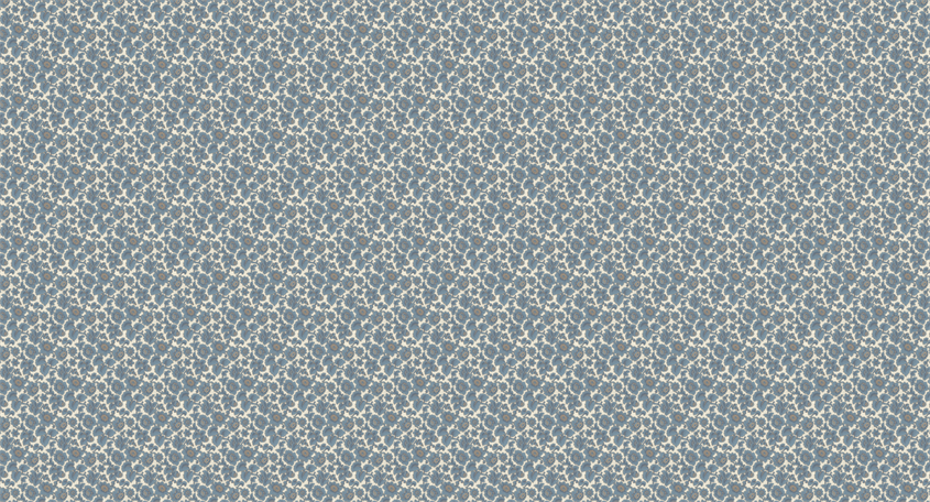 18-K17-41_SCE1_WEB.png