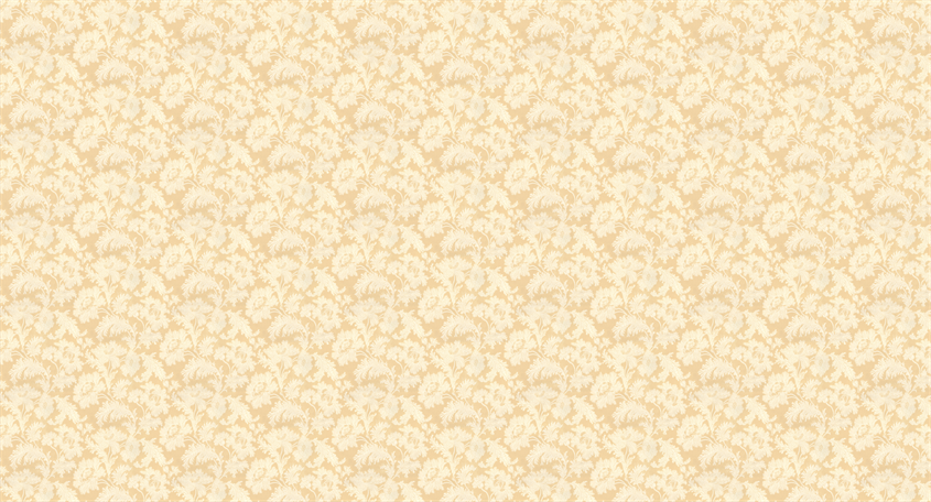 18-K29-50_SCE1_WEB.png