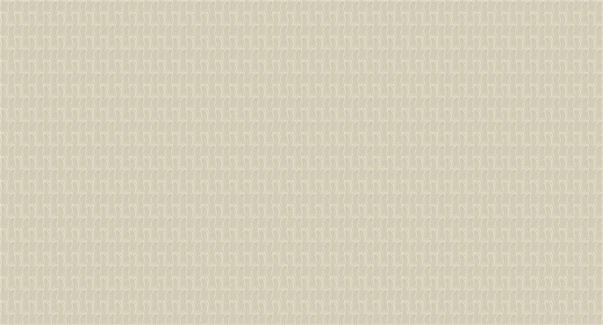 18-K49-55_SCE1_WEB.png