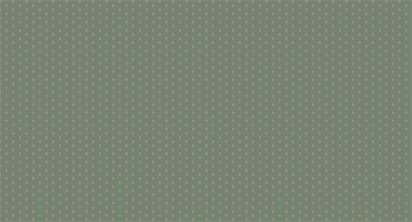 18-X118-54_SCE1_WEB.png