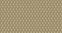 18-X122-55_SCE1_WEB.png