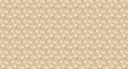 18-X131-50_SCE1_WEB.png