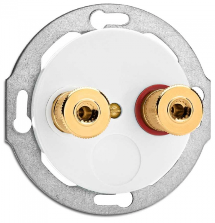 Kaiutinrasia, Posliini valkoinen