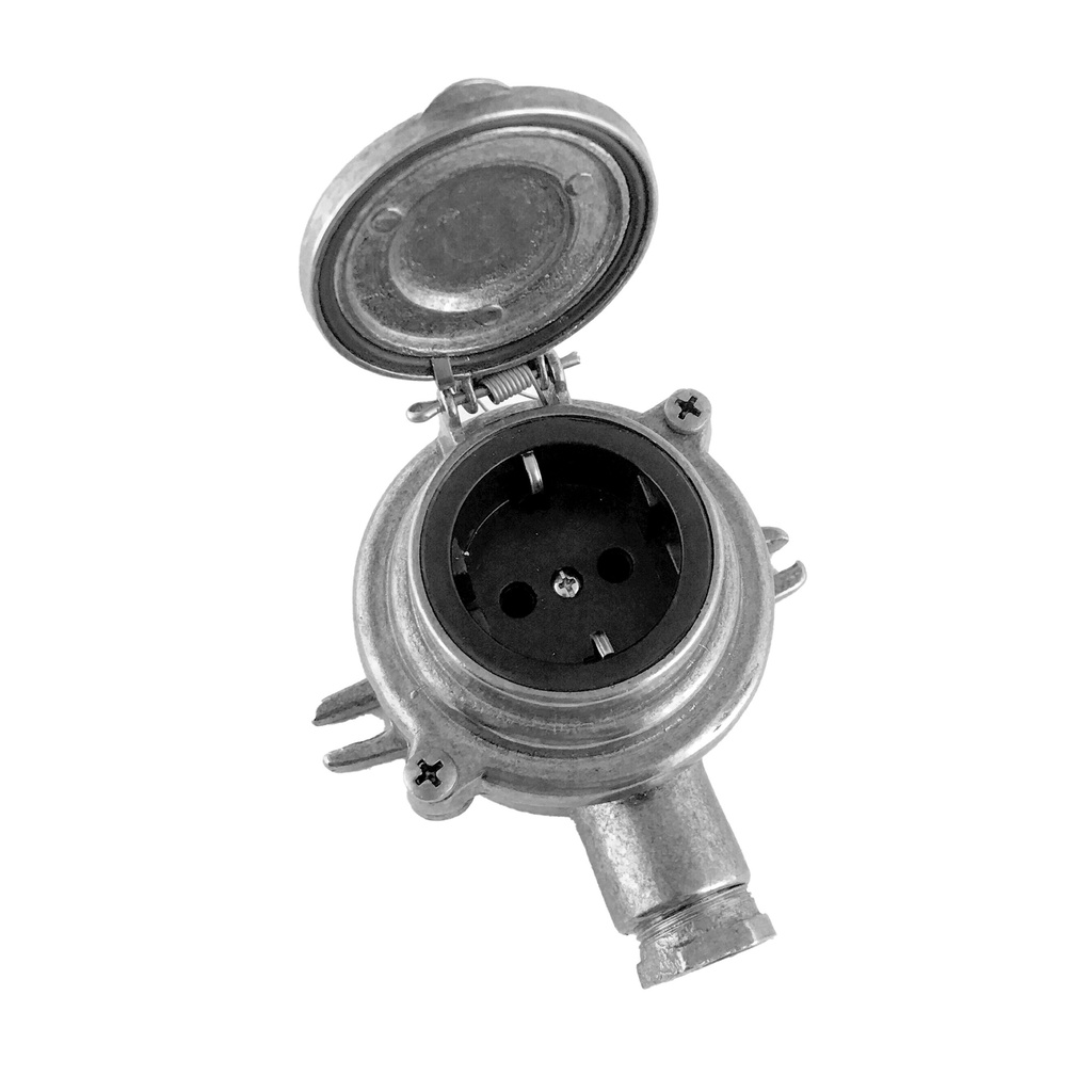 Pistorasia niklattu messinki, Agelux