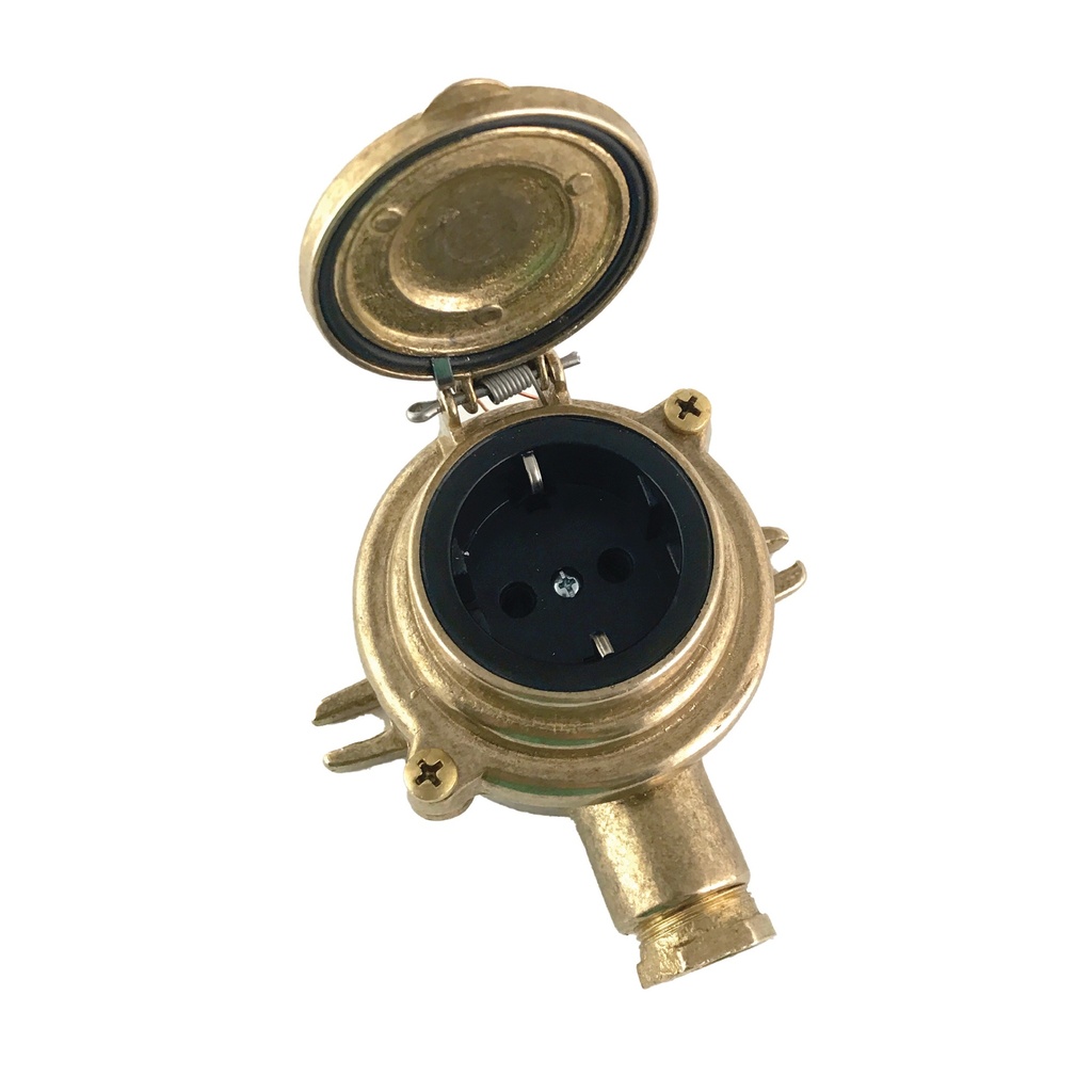 Pistorasia messinki, Agelux