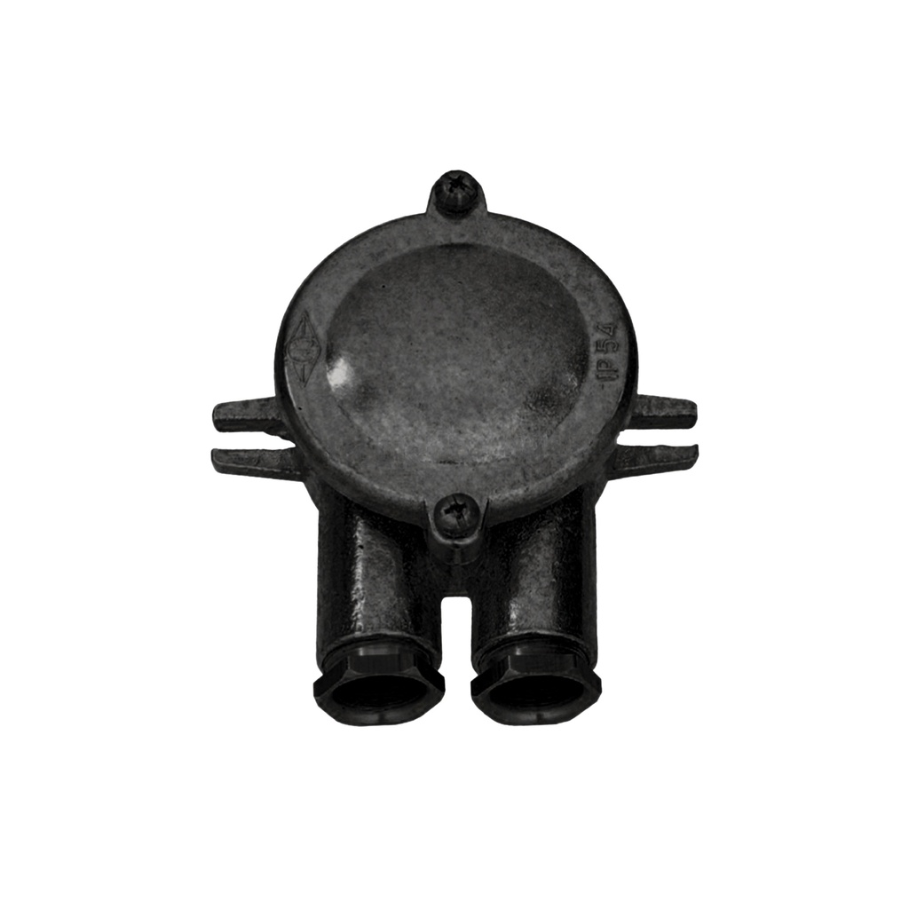 Jakorasia 2 musta messinki, Agelux